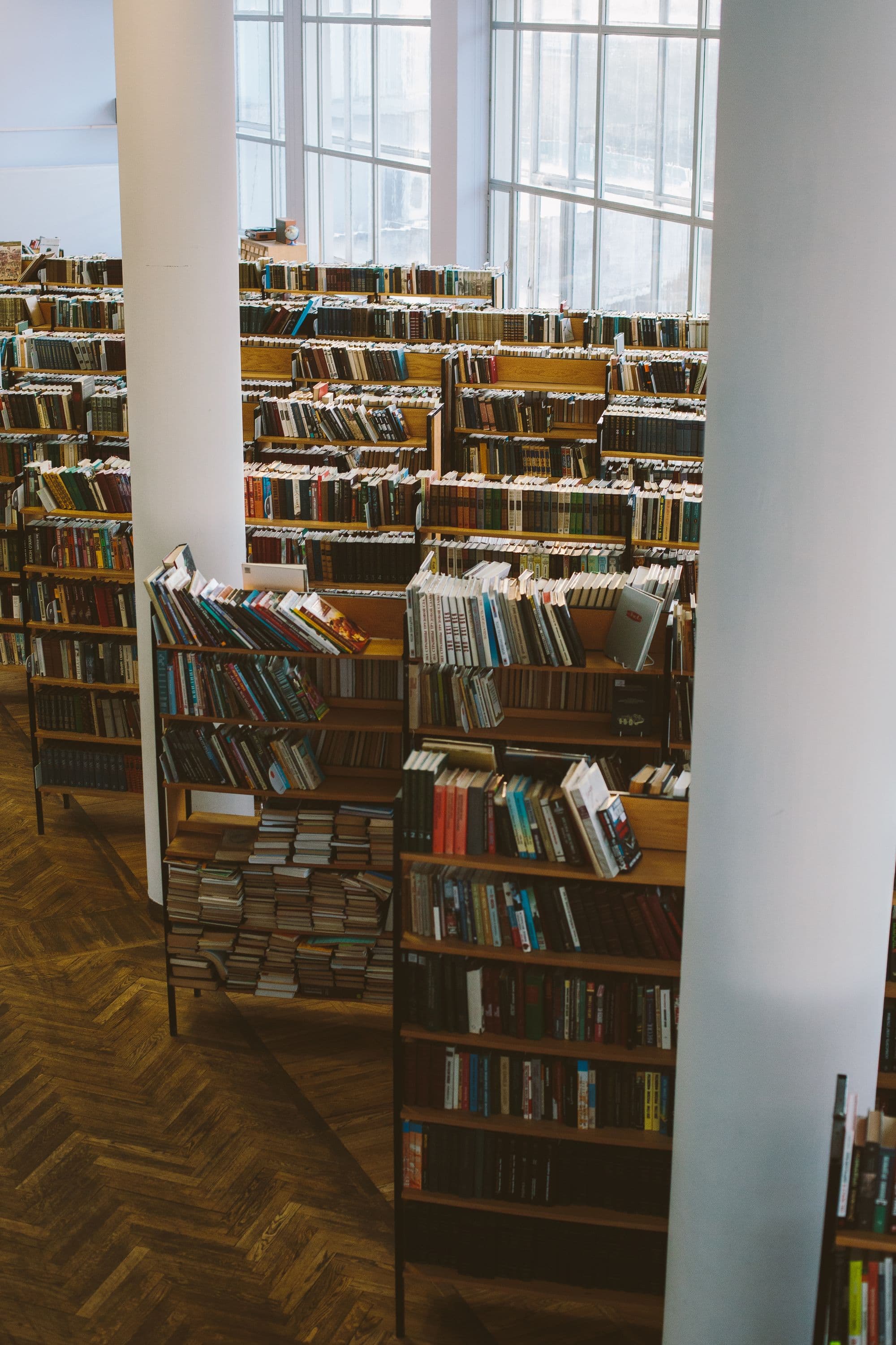 Biblioteca escolar com estantes de madeira, acervo organizado e iluminação acolhedora